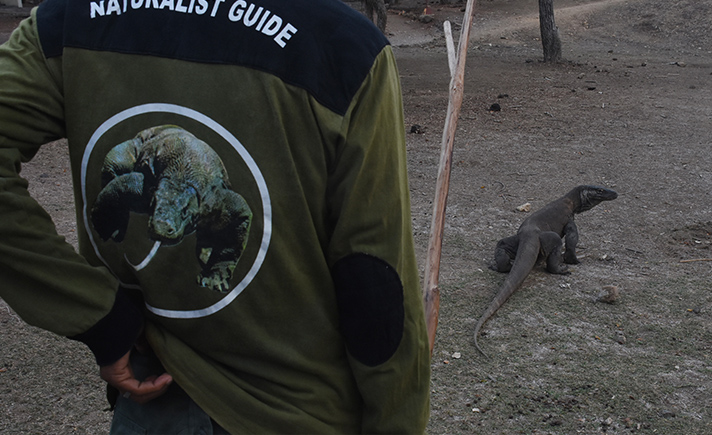 Kawasan Taman Nasional Komodo