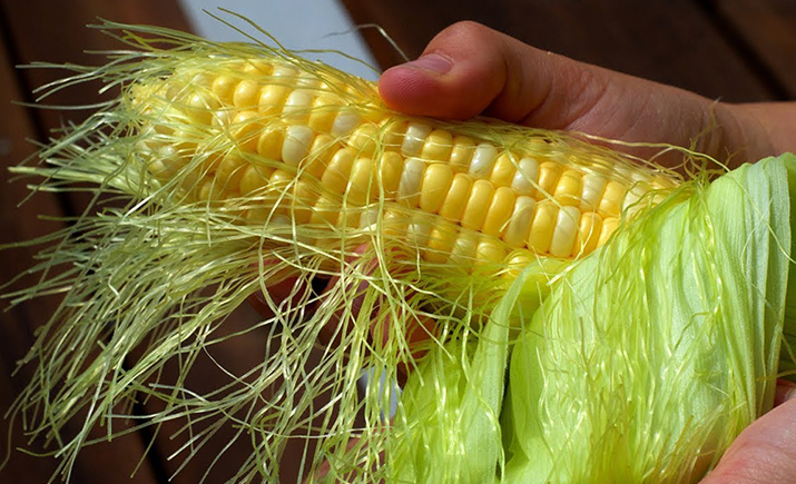 Rambut jagung