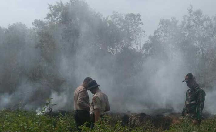 Kebakaran Hutan di Aceh