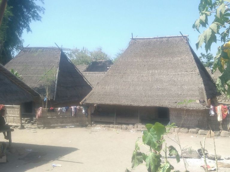 Keajaiban Gempa  Lombok  Rumah  Adat  Tetap Utuh Berdiri Tagar