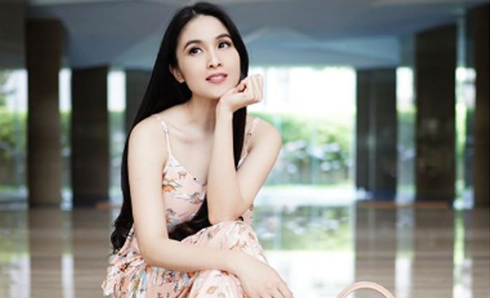 Hasil gambar untuk sandra dewi