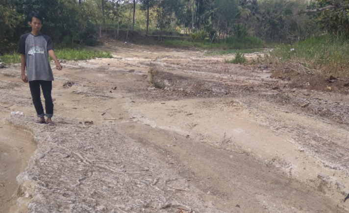 Ada Fosil Cacing Purba Akademisi Gemar ke Gunungkidul Tagar