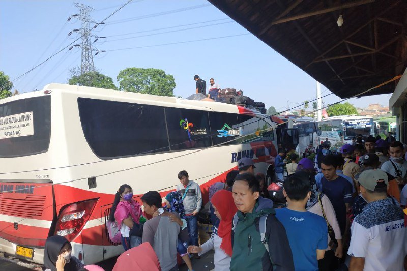 Bus