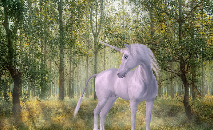 Unicorn