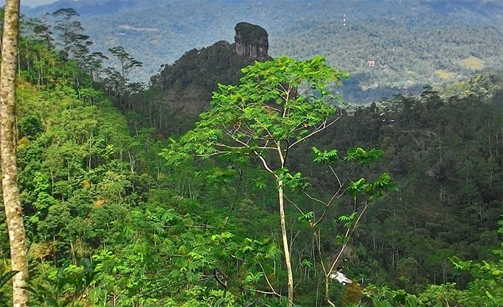 Kawasan Suaka Margasatwa Sermo