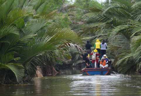 Hutan Bakau Mandeh