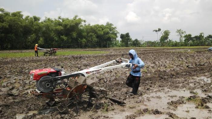 Berita traktor tangan-1