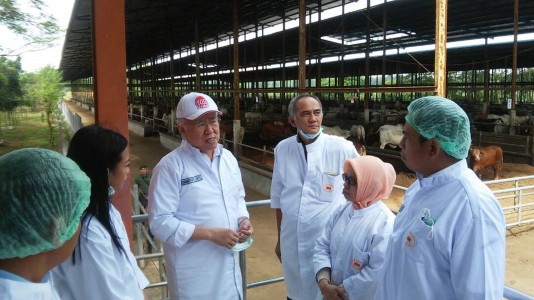 Berita pasokan-daging-sapi-1