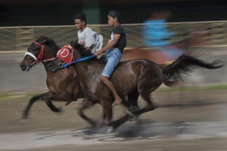 Berita rif-festival-sumba-1