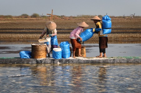 Petani Garam