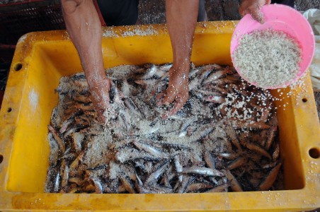Produksi Ikan Asin Terkendala Ketersediaan Garam