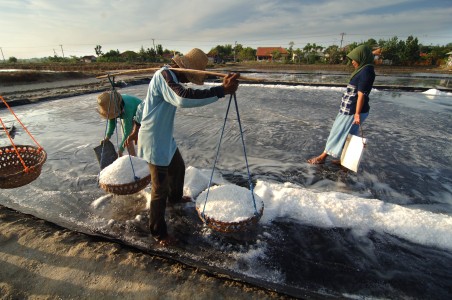 Petani Garam