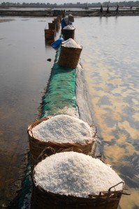 Petani Garam