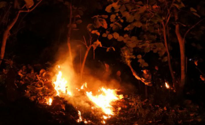 Taman Nasional Baluran Terbakar