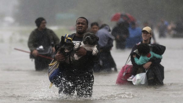 Menyelamatkan Anak dan Hewan Kesayangan Berita Foto: Warga berjuang melewati perairan banjir dari badai tropis Harvey di Beaumont Place, Texas, Agustus, lalu. Mereka juga tak lupa untuk membawa anak tercinta dan hewan kesayangannya. (Foto:teleSUR)
