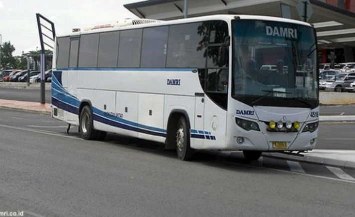 Bus DAMRI