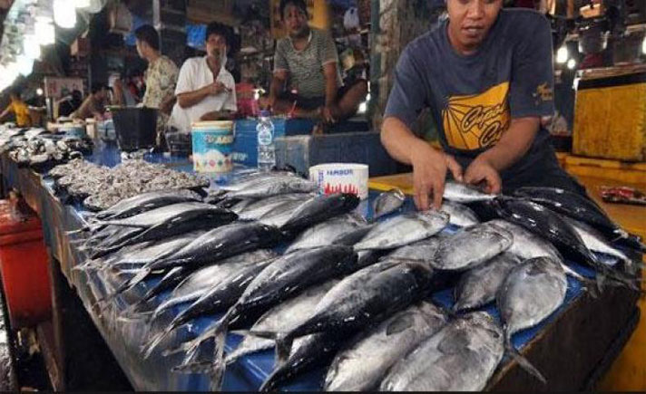 Stok Melimpah, Harga Ikan di Ternate Turun,