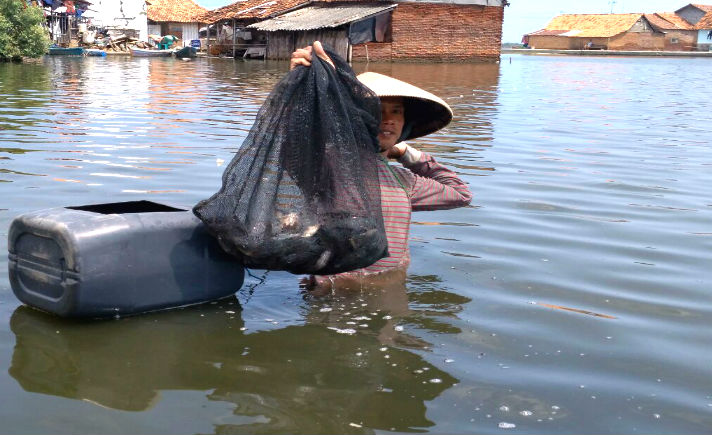 Banjir Rob di Pekalongan