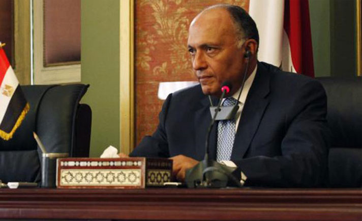 Menteri Luar Negeri Mesir Sameh Shoukry
