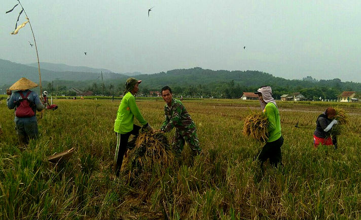 Babinsa Wajib Manunggal Desa