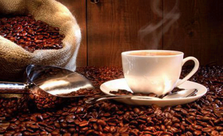 Coffee Fest Toba 2017