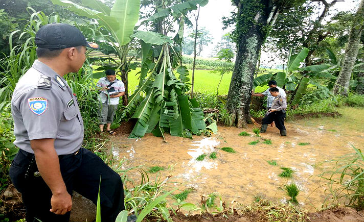 Tersambar Petir, Satu Buruh Tani Meninggal Empat Luka Bakar