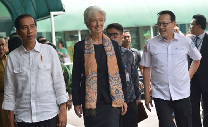 IMF