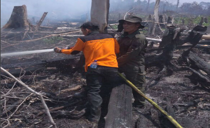 Tim Brigdalkar Balai Konservasi Sumber Daya Alam (BKSDA) Aceh berhasil memadamkan api yang sempat menghanguskan di beberapa titik di kawasan hutan Suaka Margasatwa Rawa Singkil