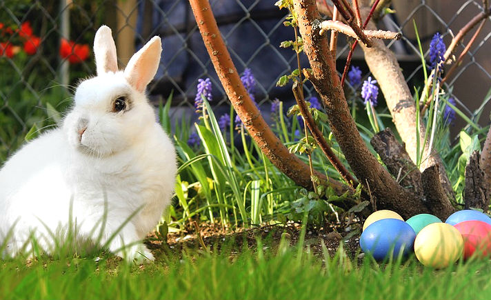 Kelinci dan Telur Paskah