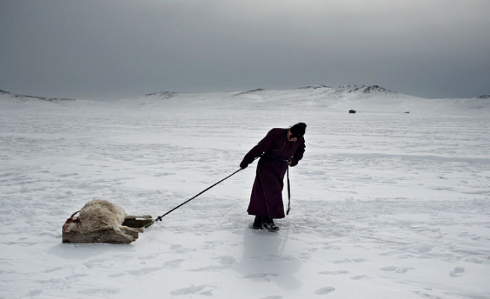 Mongolia