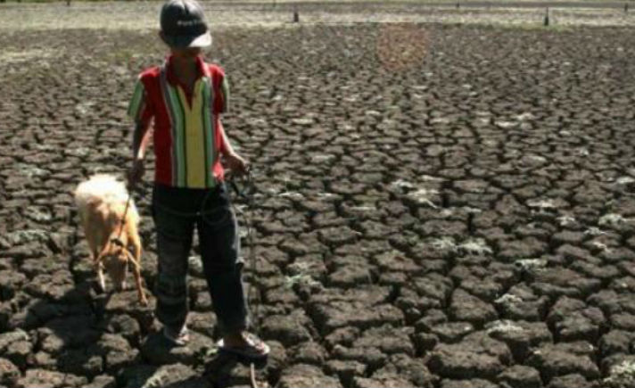 Perubahan Iklim Bisa Tingkatkan Risiko Rawan Pangan Ini Alasannya