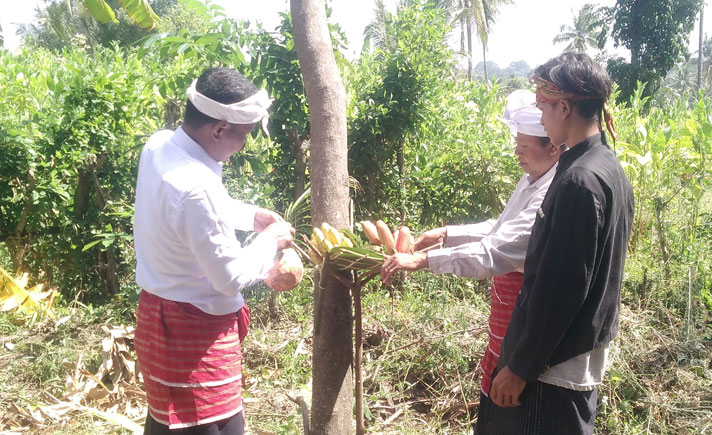 Ritual Adat Betetulak