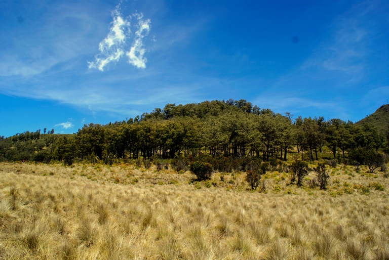 Gunung Lawu