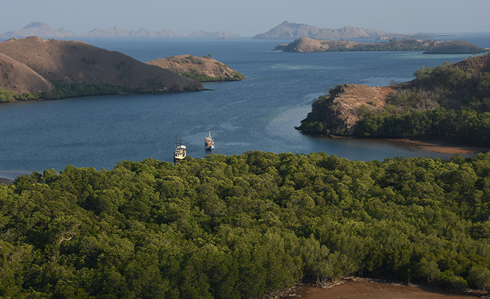 Kawasan Taman Nasional Komodo