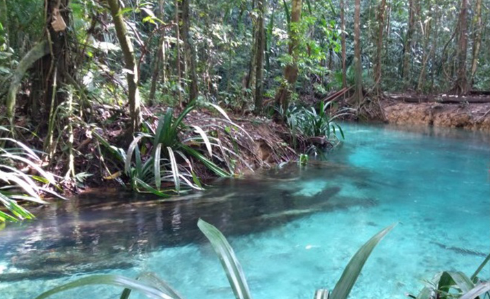 Kali Biru Raja Ampat