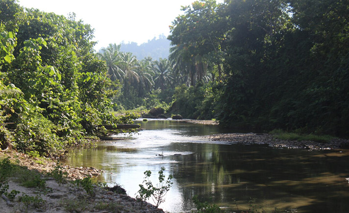 Air Terjun Aceh