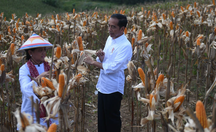 Jokowi Sebut Tidak Mungkin Menyejahterakan Rakyat dengan 