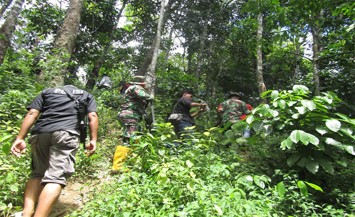 Jejak Harimau