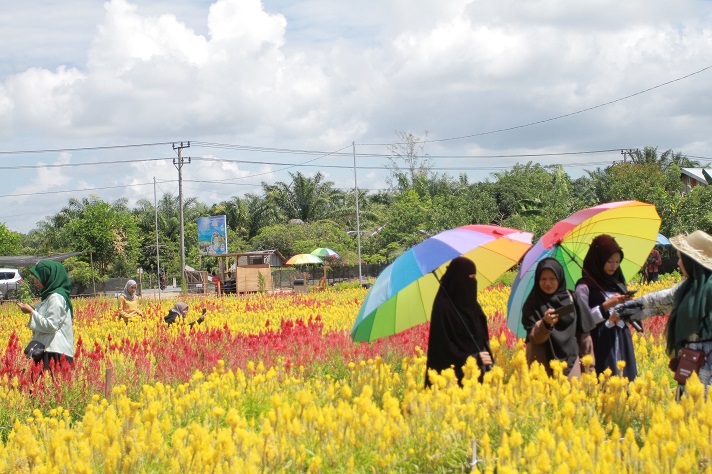 Taman Bunga Celosia