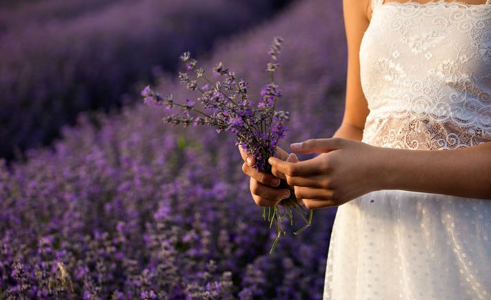 Lavender