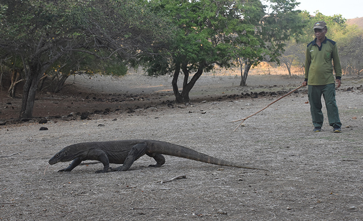 Kawasan Taman Nasional Komodo