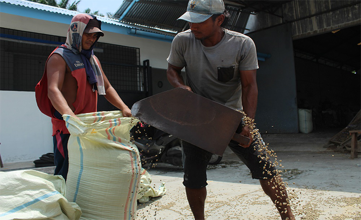 Buruh Kopi