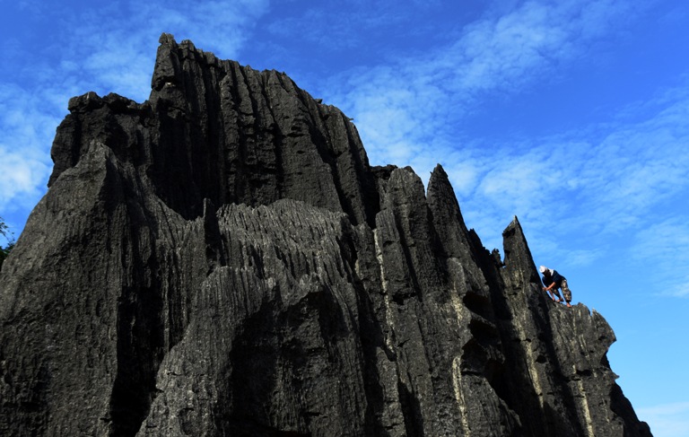 Wisata Hutan Batu Kars