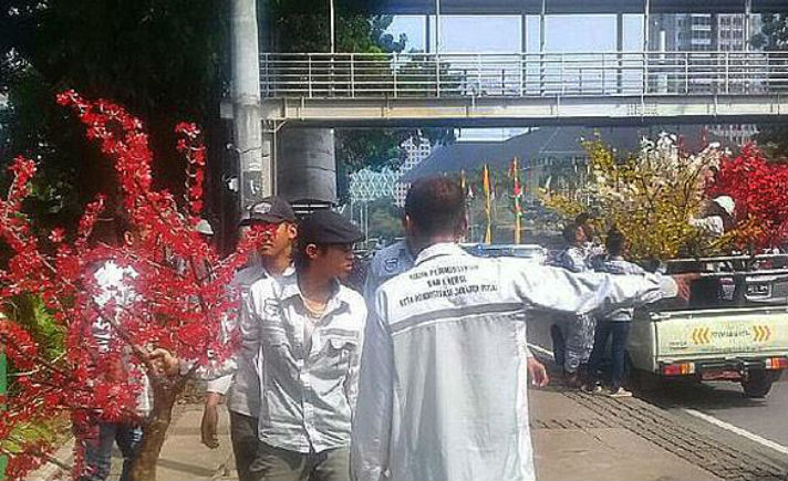 Pohon Plastik DKI