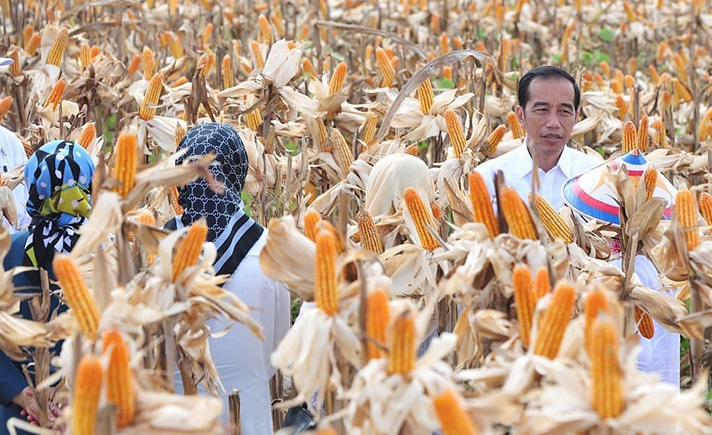 Presiden Joko Widodo