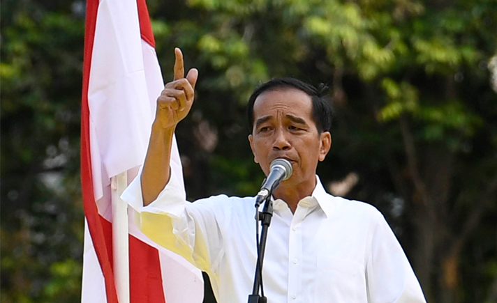 Joko Widodo, Jokowi