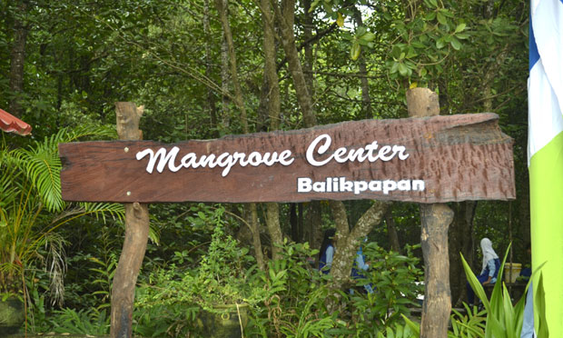 Hutan Mangrove Center Balikpapan