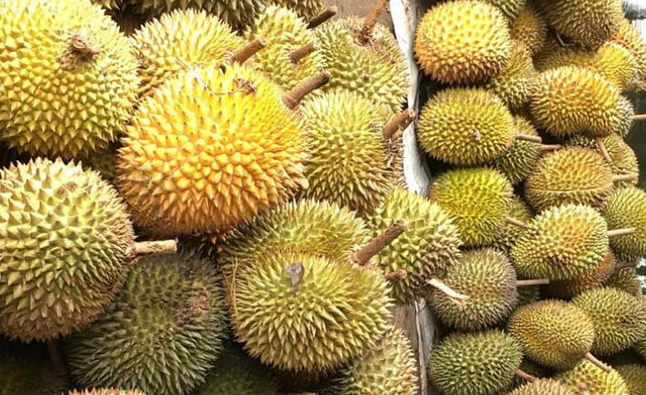 Durian