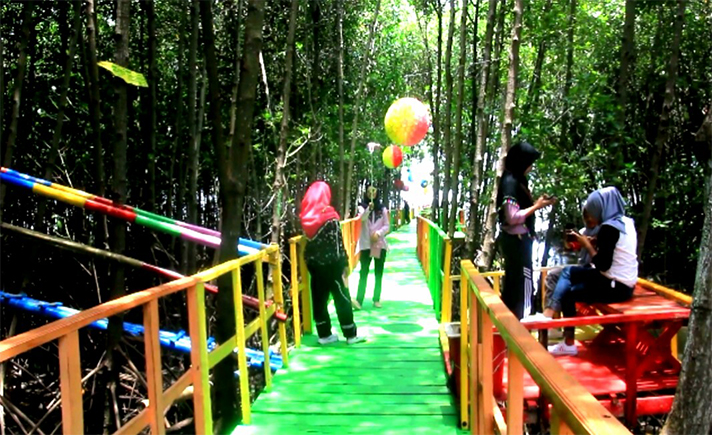 Hutan Mangrove Jeneponto