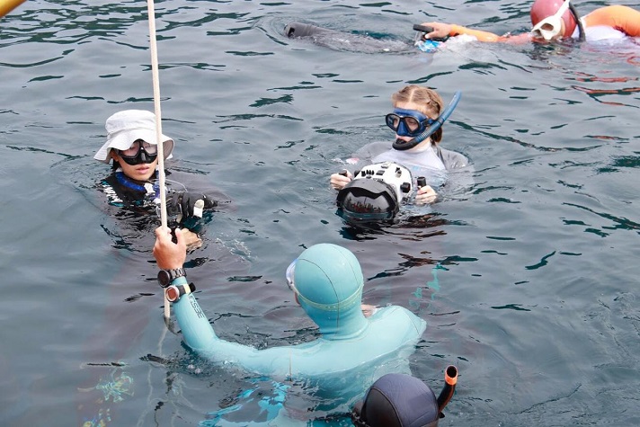 Sabang International Freediving Competition